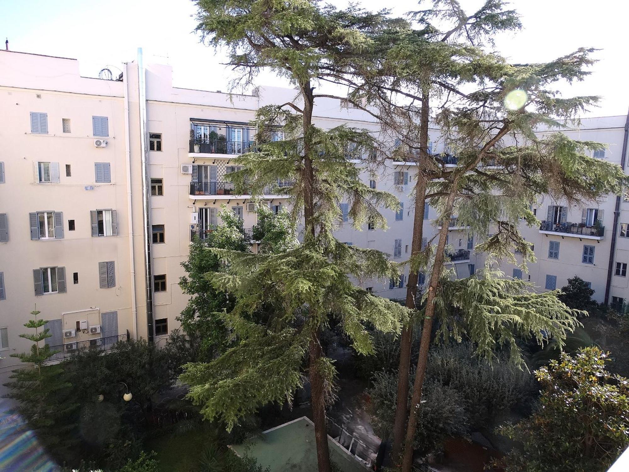 Appartement Domus Dino à Rome Extérieur photo